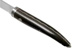 Laguiole En Aubrac Gourmet FGO20EBI Boning Knife Ebony Wood 20 Cm -Kai Shop AUFGO20EBI 05 laguiole en aubrac