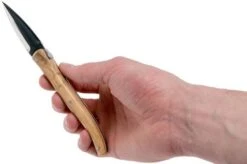 Claude Dozorme Laguiole Oyster Set Olive -Kai Shop CD2 60 062 89 07 claude dozorme cd2 60 062 89 07