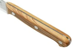 Due Cigni Tuscany 2C750-10OL Paring Knife 10 Cm Olive Wood -Kai Shop DG2C750 10OL 06 duecigni