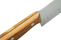 Due Cigni Tuscany DG2C760-18OL Santoku 18 Cm Olive Wood -Kai Shop DG2C760 18OL 05 duecigni