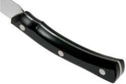 Due Cigni Arne Line Paring Knife 10 Cm, Black -Kai Shop DG2C901 04 due cigni arne