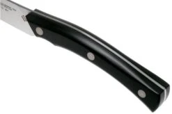 Due Cigni Arne Line Paring Knife 10 Cm, Black -Kai Shop DG2C901 05 due cigni arne