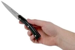 Due Cigni Arne Line Paring Knife 10 Cm, Black -Kai Shop DG2C901 06 due cigni arne