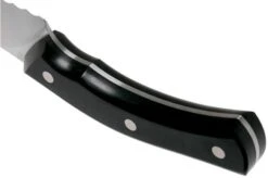 Due Cigni Arne Line Bread Knife 23 Cm, Black -Kai Shop DG2C903 04 due cigni arne