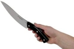 Due Cigni Arne Line Carving Knife 20 Cm, Black -Kai Shop DG2C905 06 due cigni arne
