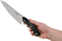 Due Cigni Arne Line Chef's Knife 20 Cm, Black -Kai Shop DG2C906 06 due cigni arne