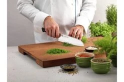 Zwilling Diplôme Paring Knife 12 Cm, 54202-121 -Kai Shop Diplome2 1