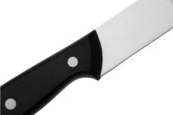 Eden Essentials 20.5 Cm Carving Knife, 2000-120 -Kai Shop EQ2000 120 05 eden 1