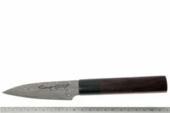 Eden Susumi SG2 Paring Knife, 10 Cm -Kai Shop EQ2050 110 06 eden susumi sg2 officemes eq2050 110 d6