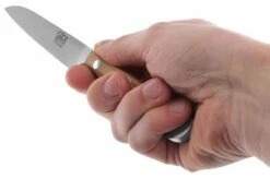 Güde Alpha Olive Peeling Knife, X701/09 -Kai Shop GUX701 09 05 gude alpha olive gux701 09 05