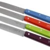 Set Of 4 Opinel Paring Knives N°112 Pop