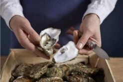 Opinel Oyster Knife No 09 -Kai Shop OP001616 07 opinel oestermes op001616 08