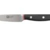 Richardson Sheffield Velocity 123BFCSB3117 Paring Knife, 10.5cm