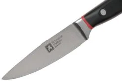 Richardson Sheffield Velocity 123BFCSB3117 Paring Knife, 10.5cm -Kai Shop RFR123BFCSB3117 03 richardsonsheffield