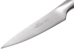 Lion Sabatier Fuso Paring Knife 10 Cm, 746182 -Kai Shop SA746182 03 lion sabatier fuso sa746182 03
