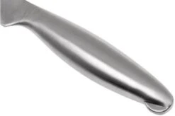 Lion Sabatier Fuso Paring Knife 10 Cm, 746182 -Kai Shop SA746182 04 lion sabatier fuso sa746182 04