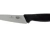 Victorinox Fibrox Office Knife 12 Cm 5.2003.12