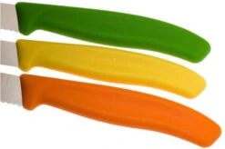 Victorinox SwissClassic Vegetable Knife Set, Set Of 3, 6.7116.31G -Kai Shop VT6 7116 31G 04 victorinox vt6 7116 31g 04