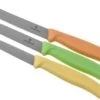 Victorinox SwissClassic 6.7116.34L2 3-piece Vegetable Knife Set