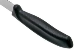 Victorinox SwissClassic 6.8633.21G Bread Knife Black 21 Cm -Kai Shop VT6 8633 21G 04 victorinox