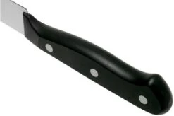 Wüsthof Gourmet Filleting Knife 16 Cm, 1025049116 -Kai Shop WU1025049116 04 wusthof v202101