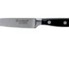 Wüsthof Classic Paring Knife 10 Cm, 1040100410