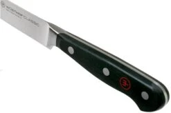 Wüsthof Classic Filleting Knife 18 Cm, 1040103718 -Kai Shop WU1040103718 05 wusthof classic v202009 1