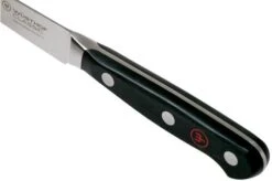Wüsthof Classic Peeling Knife 9 Cm, 1040130409 -Kai Shop WU1040130409 05 wusthof classic v202009