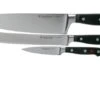 Wüsthof Classic 3-piece Knife Set, 1120160304