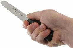Zwilling 31070-130 Four Star Sausage Knife -Kai Shop ZW31070 130 05 zwilling four star zw31070 130 05