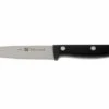Zwiling 34910-101 Twin Chef Peeling Knife
