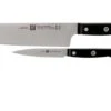 Zwilling Gourmet 2-piece Knife Set, 36130-002