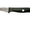 Zwilling Life Turning Knife 6 Cm, 38580-051-0