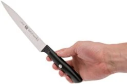 Zwilling Life Carving Knife, 38580-161-0 -Kai Shop ZW38580 161 0 06 zwilling life zw38580 161 0 06